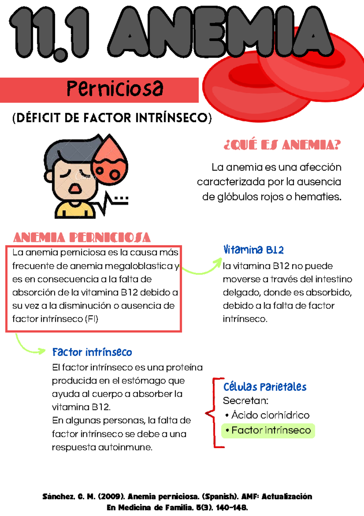 11.1 Anemia Perniciosa: Causas y Diagnóstico Completo - Studocu