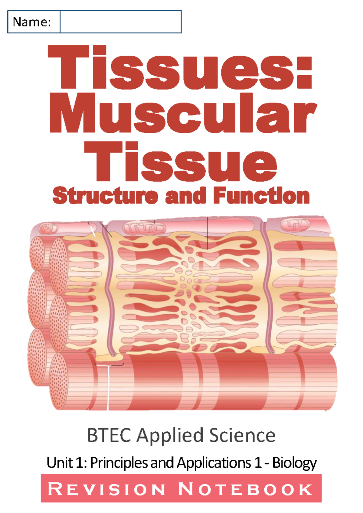 Muscular Tissue Structure and Function: BTEC Applied Science Unit 1 ...