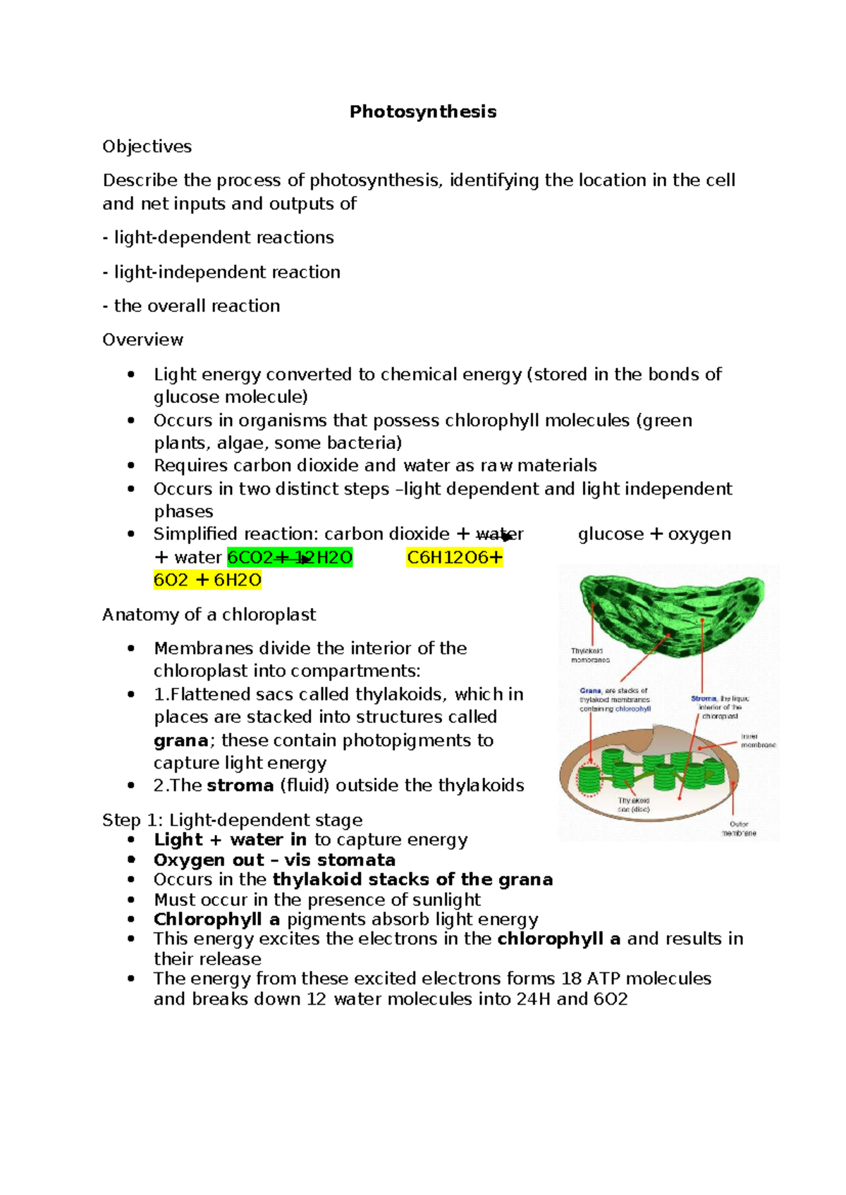 Photosynthesis Overview: Key Objectives and Processes - Studocu