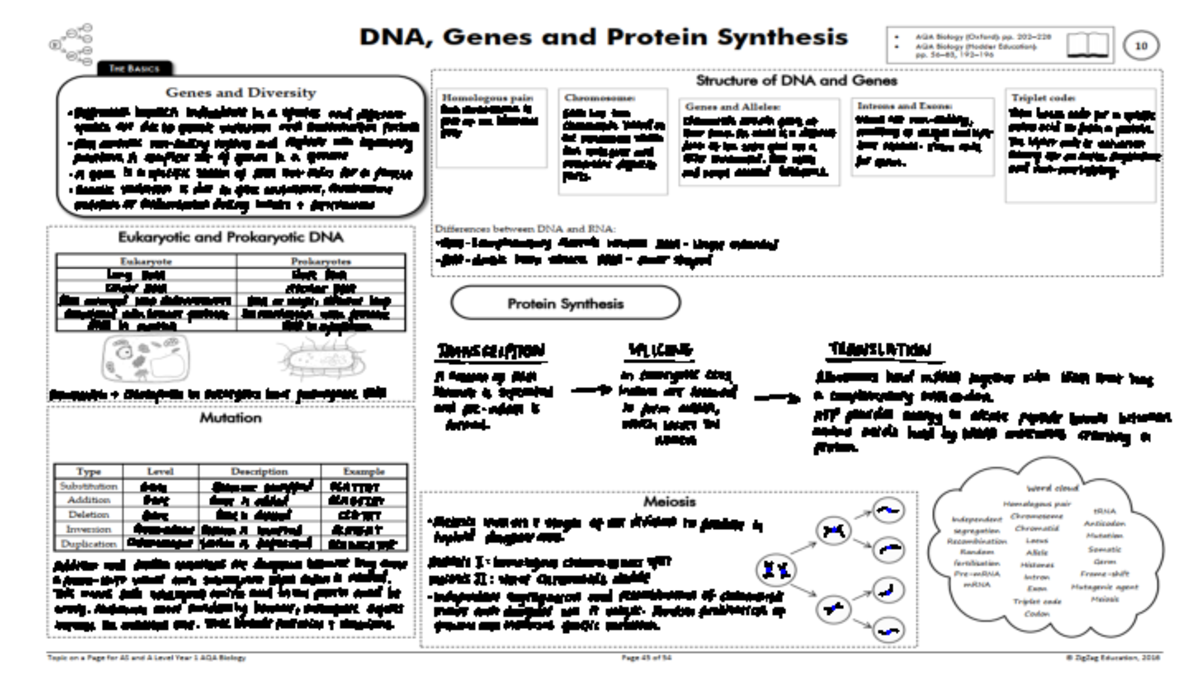 Genetic Variation in Organisms: Mechanisms and Implications - Studocu