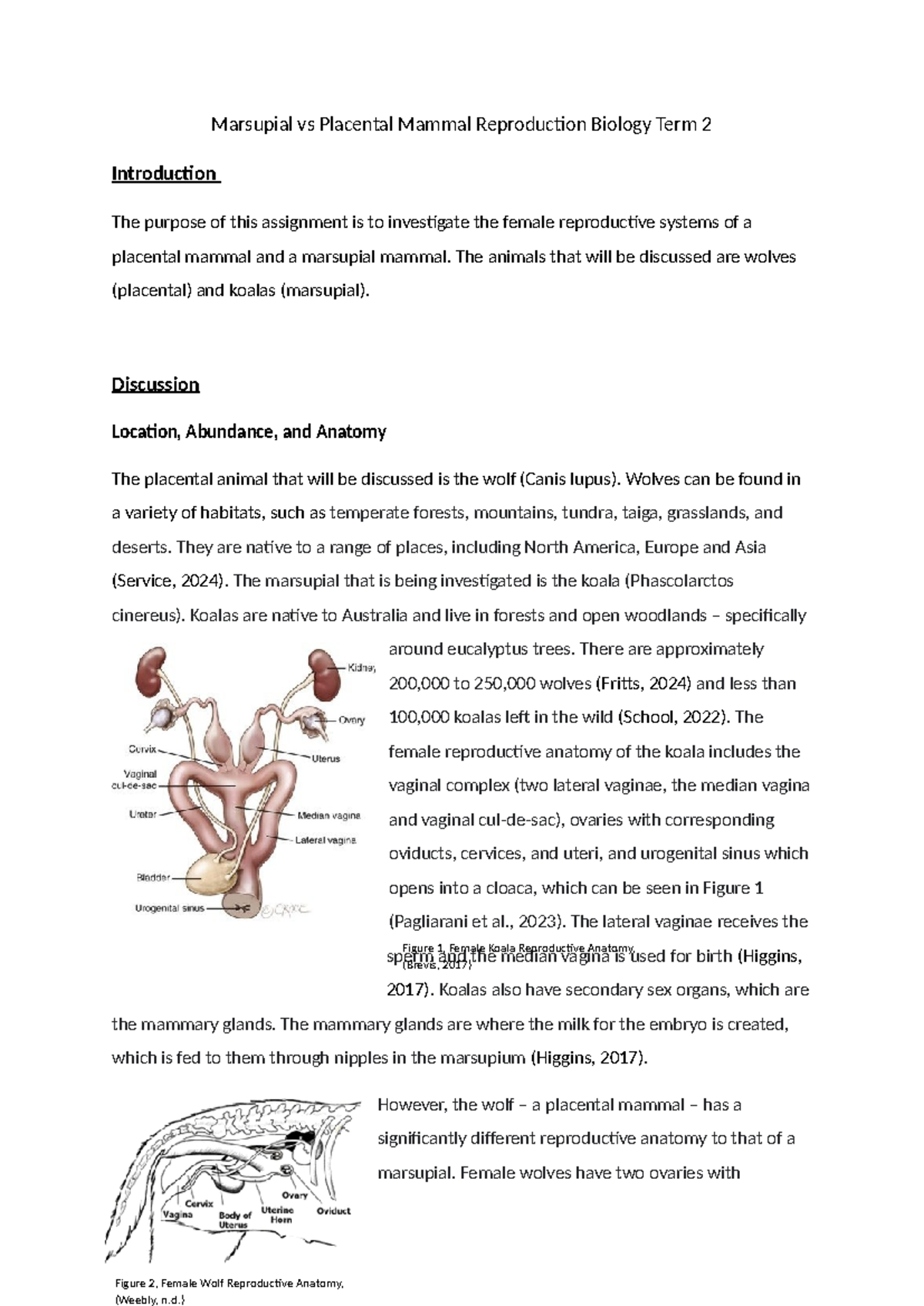 Marsupial vs Placental Mammal Reproduction: A Term 2 Study Guide - Studocu