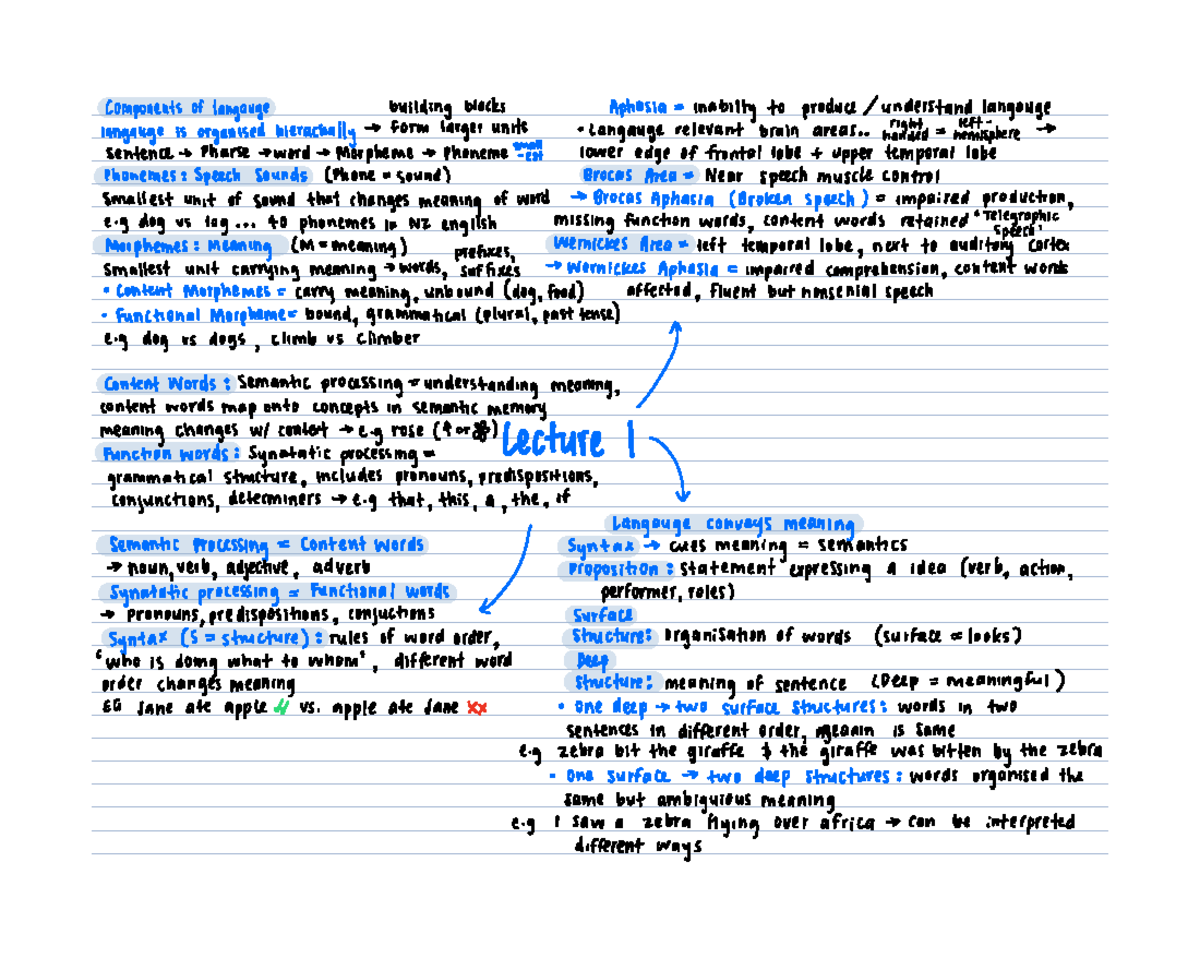 Thought and Language - NOTES (PSY 101) - Studocu