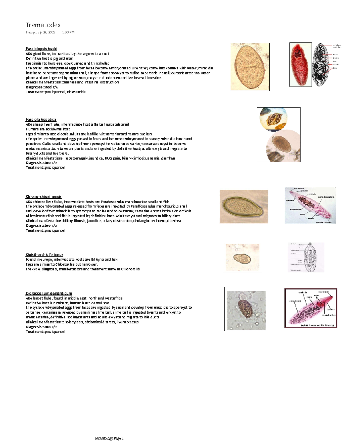 Parasitology Exam Review: Trematodes Overview (PARA 101) - Studocu