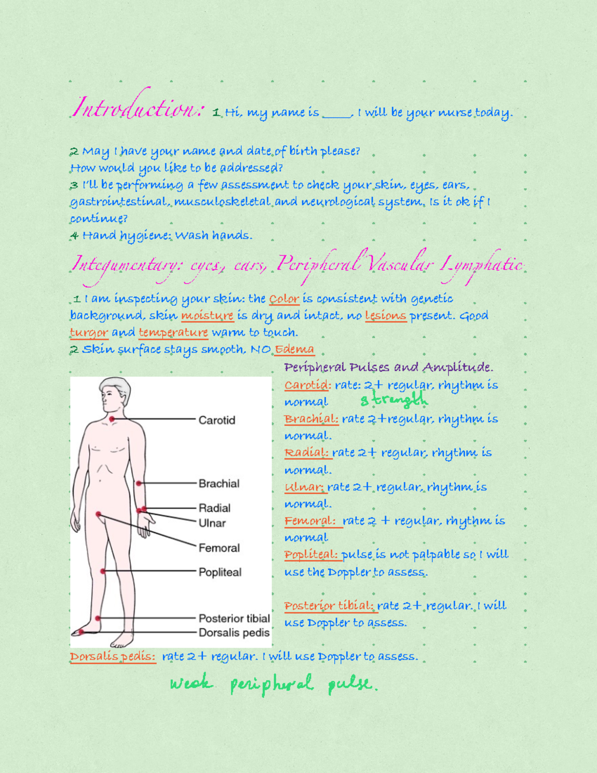 Health Assessment Final: Comprehensive Evaluation Techniques - Studocu