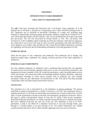 STEP - sample - C H A P T E R 3 B CHAPTER 3B Project Title: Project ...