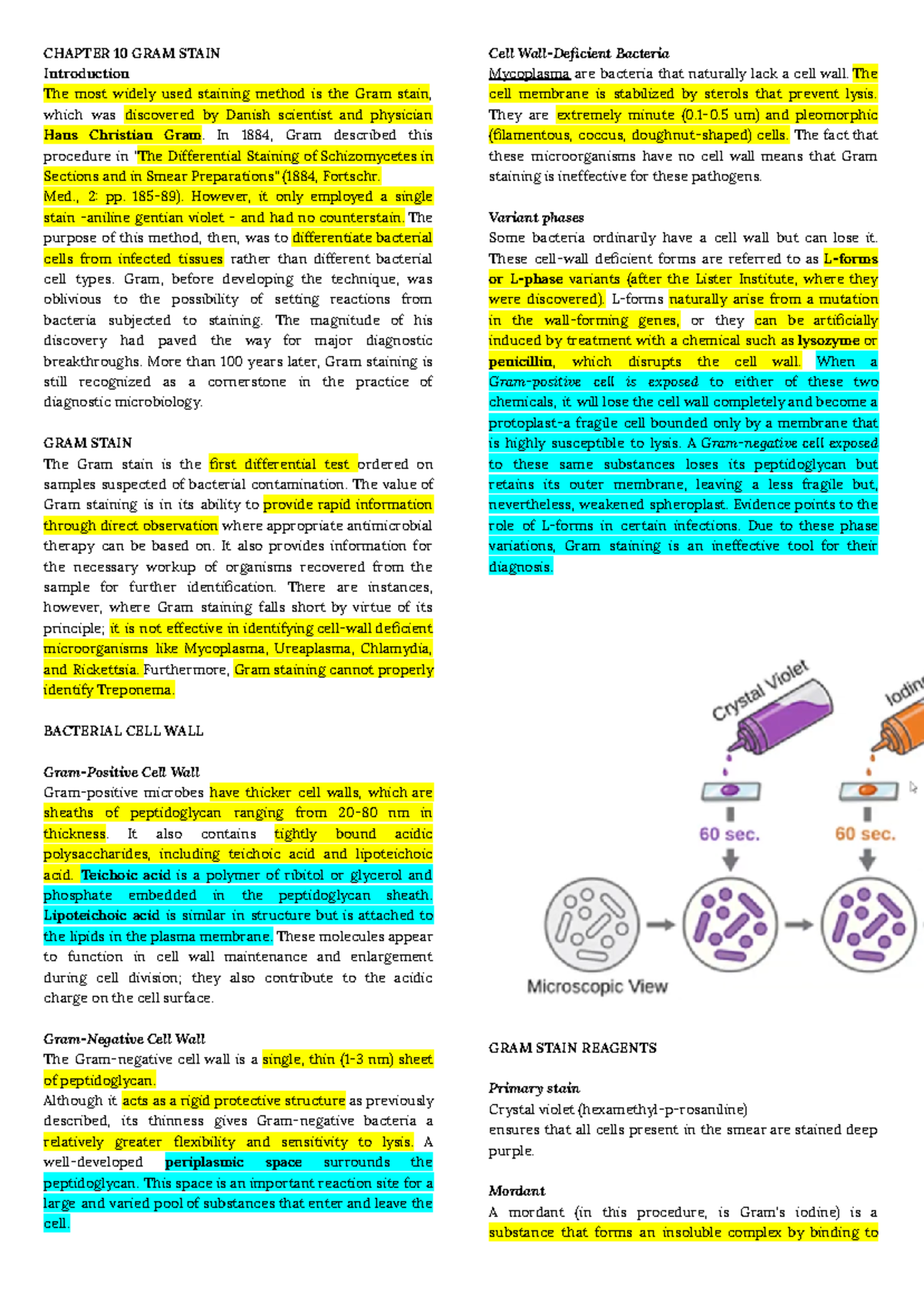 Bacte Lab - Gram Staining Techniques and Principles - Studocu
