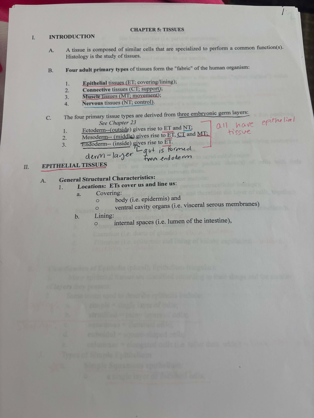 Final Exam Study Guide for Course XYZ-123: Tissues Overview and ...