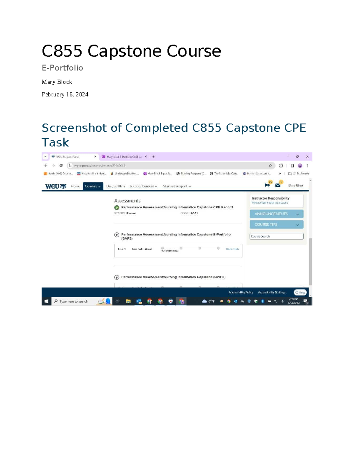 C855 Capstone E-Portfolio: User Experience & Professional Development ...
