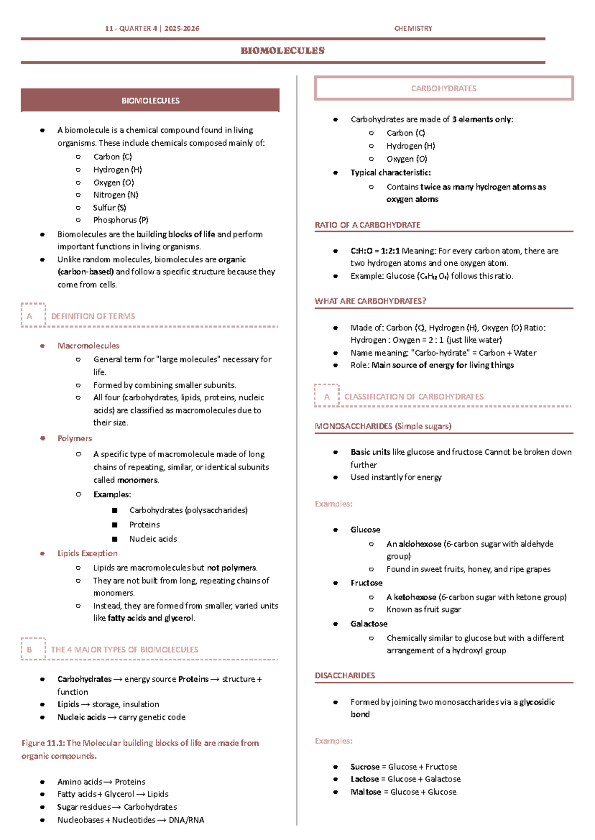 CHEM 11 Q4: Comprehensive Notes on Biomolecules and Carbohydrates - Studocu