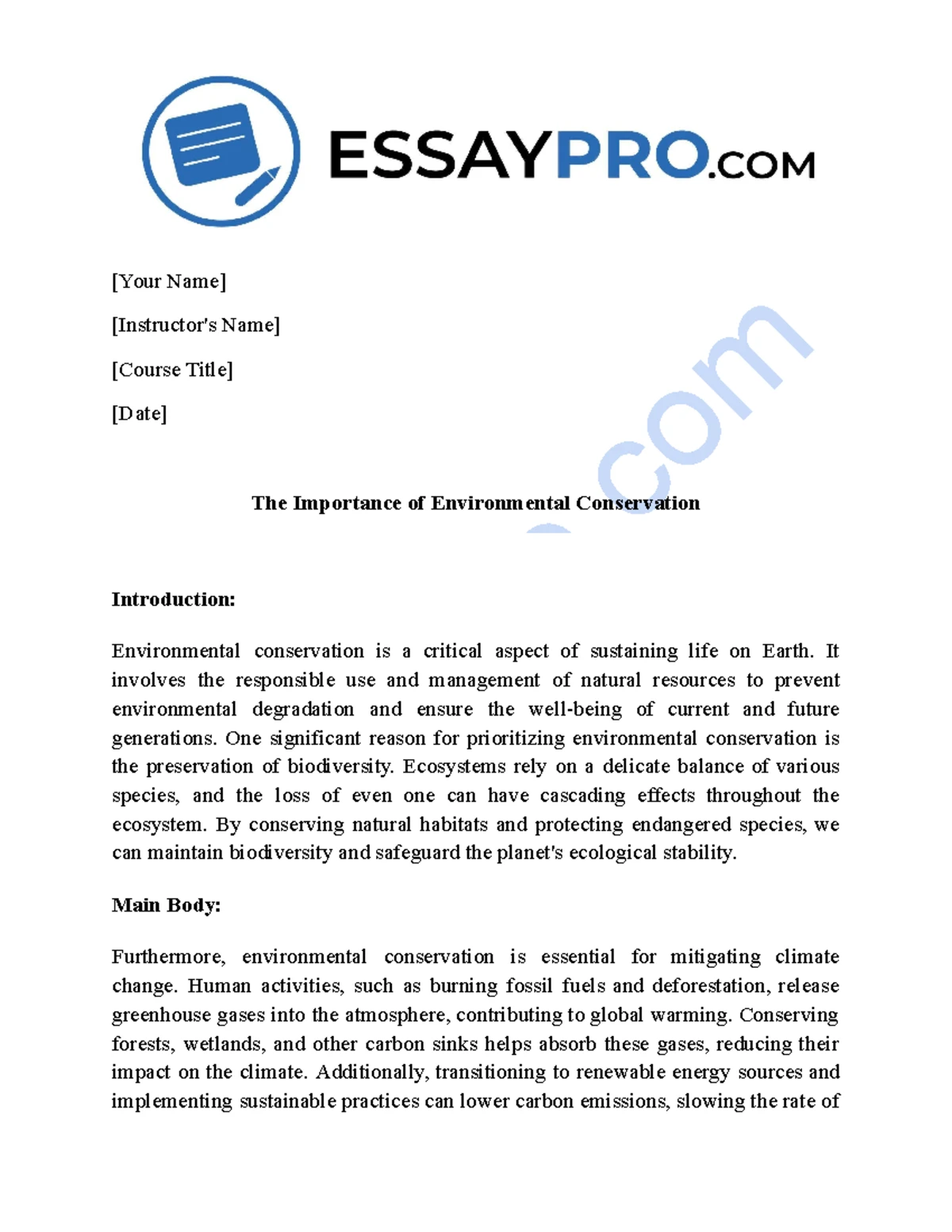Academic Essay Writing Guide - Essay 101 - Ctto - Studocu
