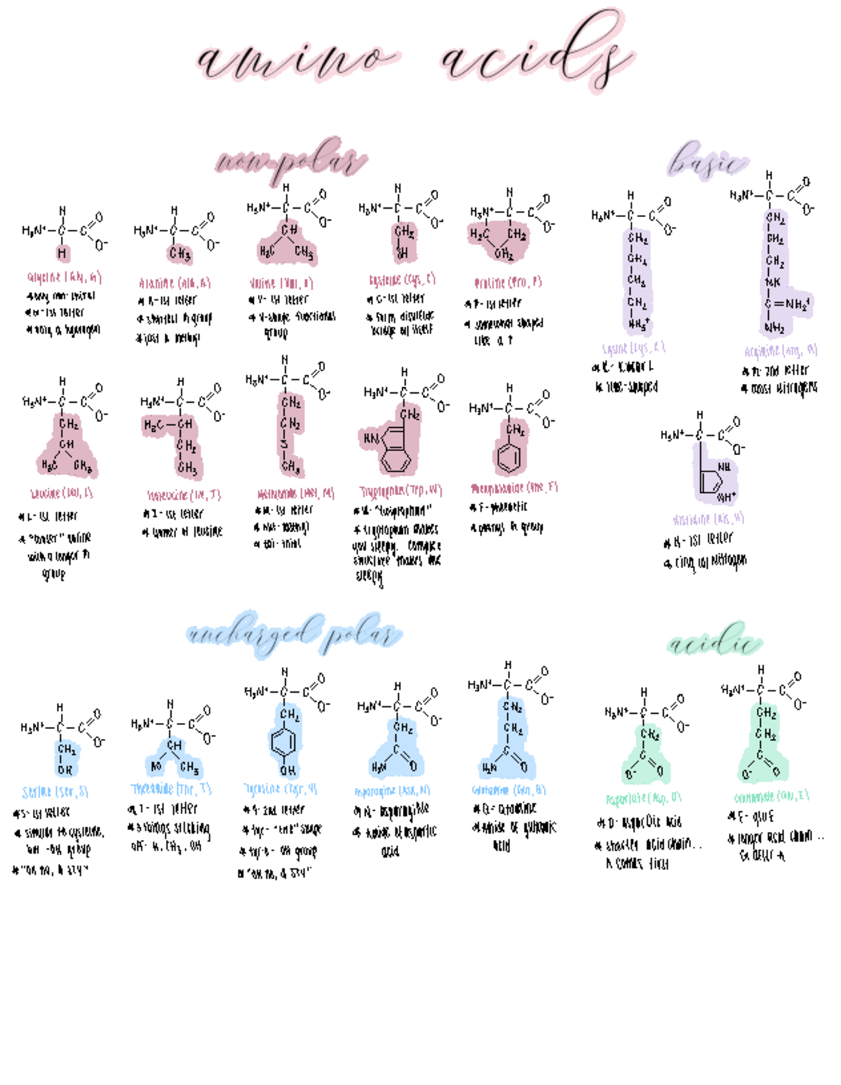 Amino Acids Chart Biochem