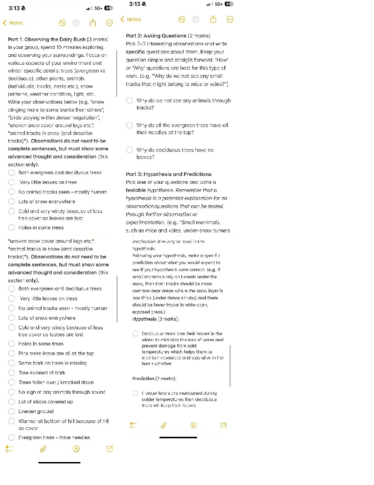 B1070 stem final exam notes: Observations and hypotheses on trees - Studocu