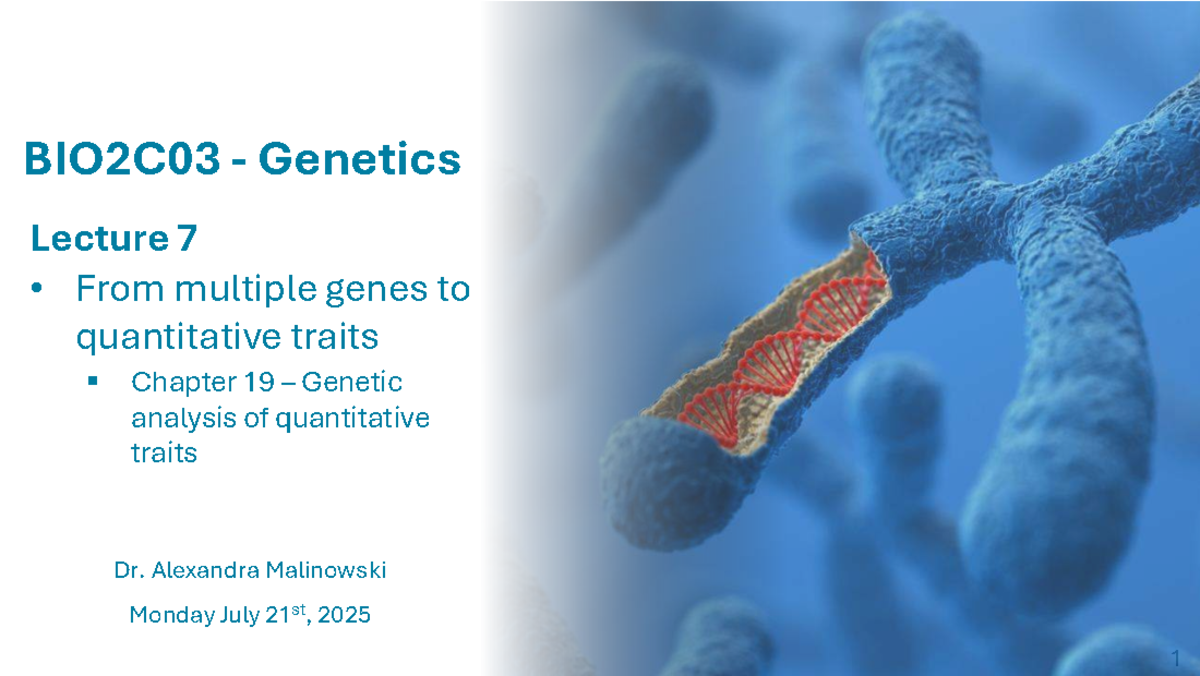 BIO2C03 Genetics Lecture 7: Quantitative Traits & Genetic Analysis ...