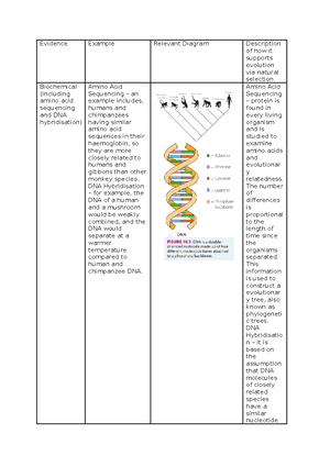 Mod 6 Biology - Comprehensive Notes on Mutations and Genetic Variation ...