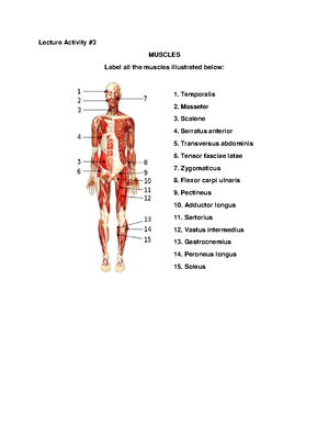 Module 2 - Anatomy and Physiology - Lecture Assignment # CANCER, A ...