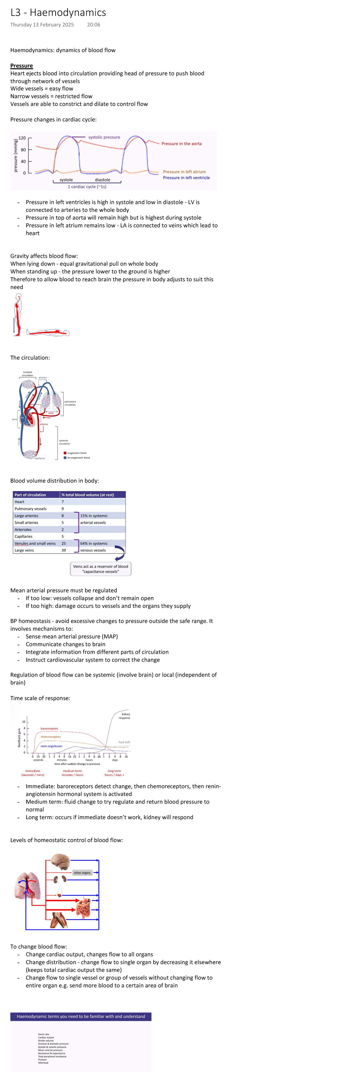 L3 Haemodynamics - Year 2 Lecture Notes on Blood Flow Dynamics - Studocu