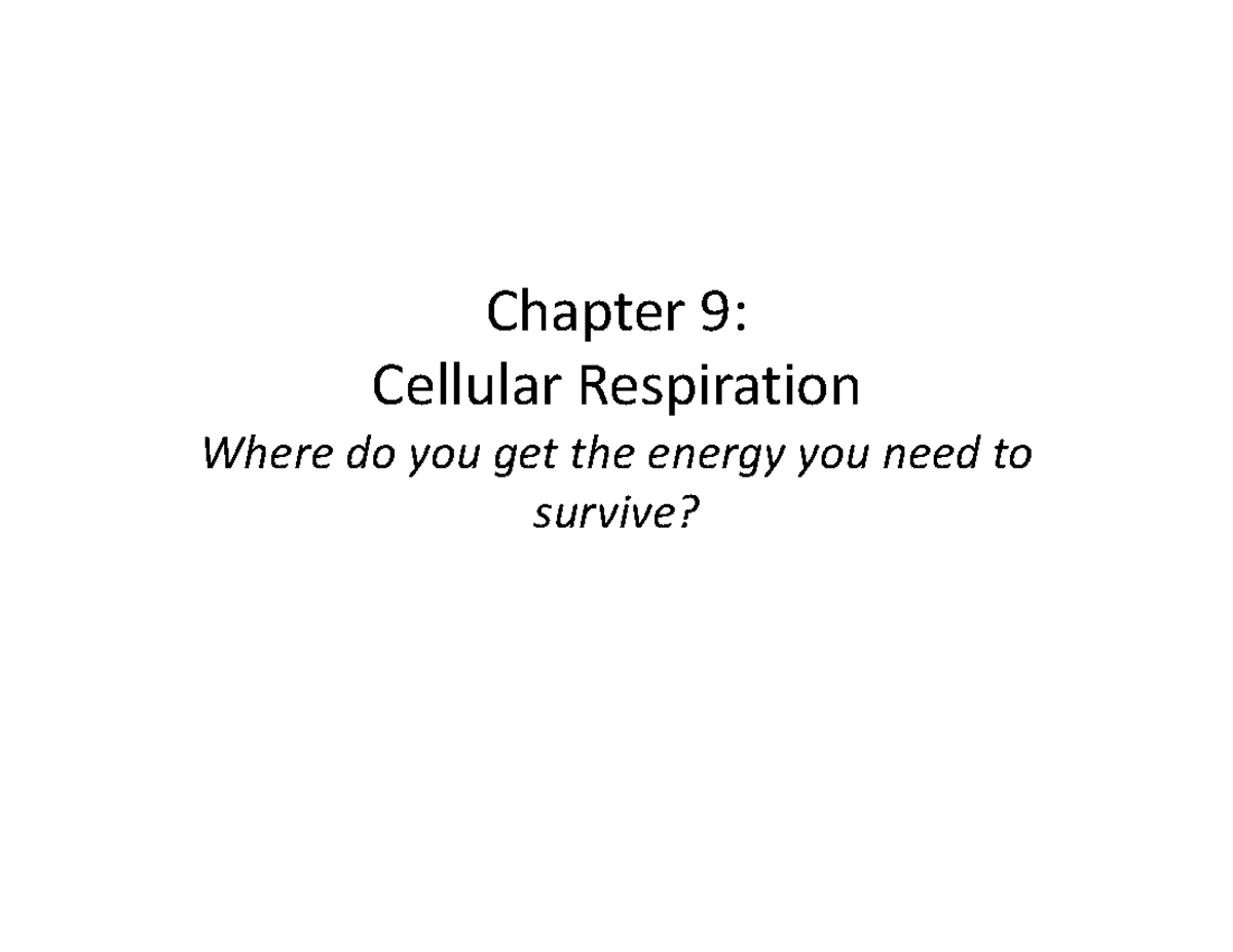 BIOL1500 Final Exam Notes: Cellular Respiration and Metabolism ...