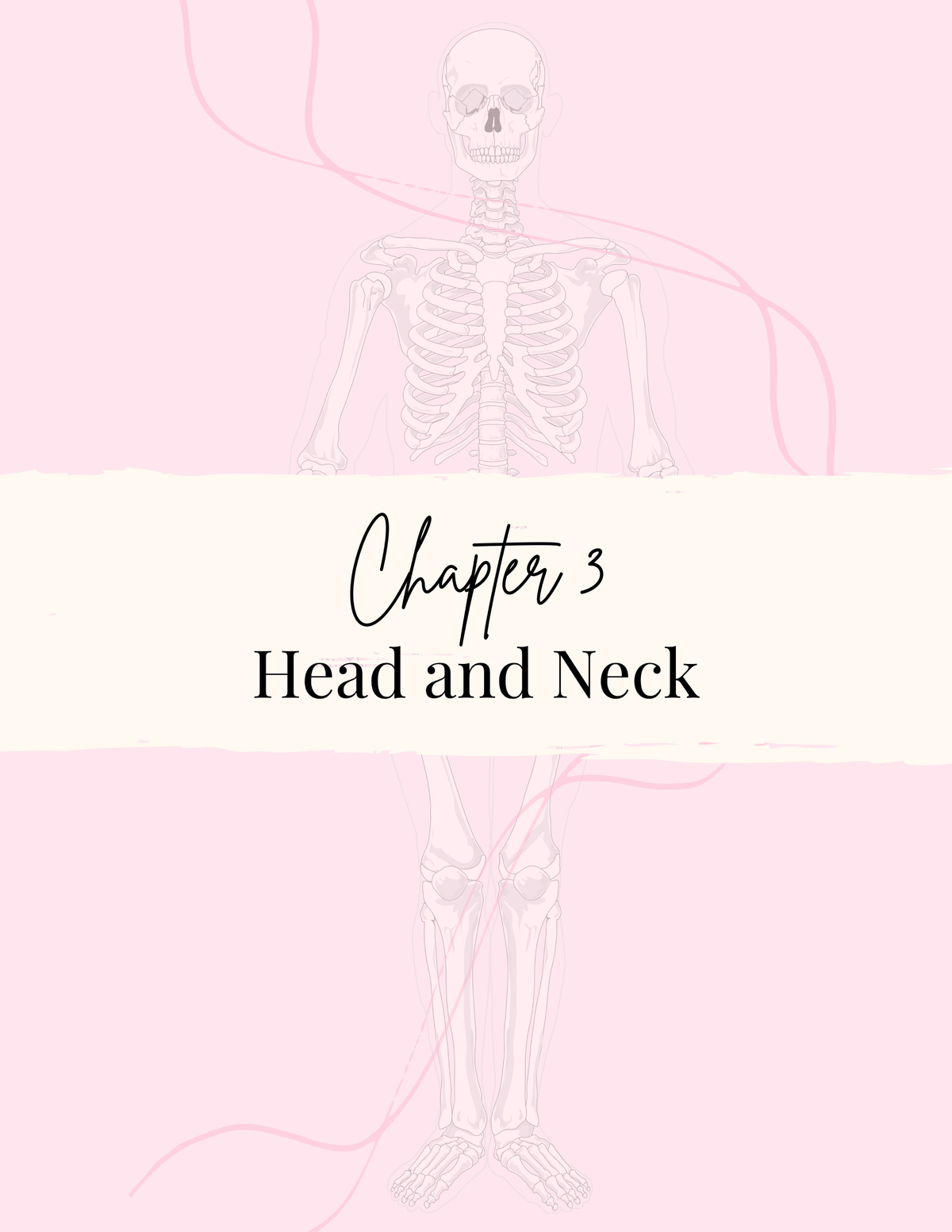 Head and Neck Anatomy Notes – A Comprehensive Guide for Study - Studocu