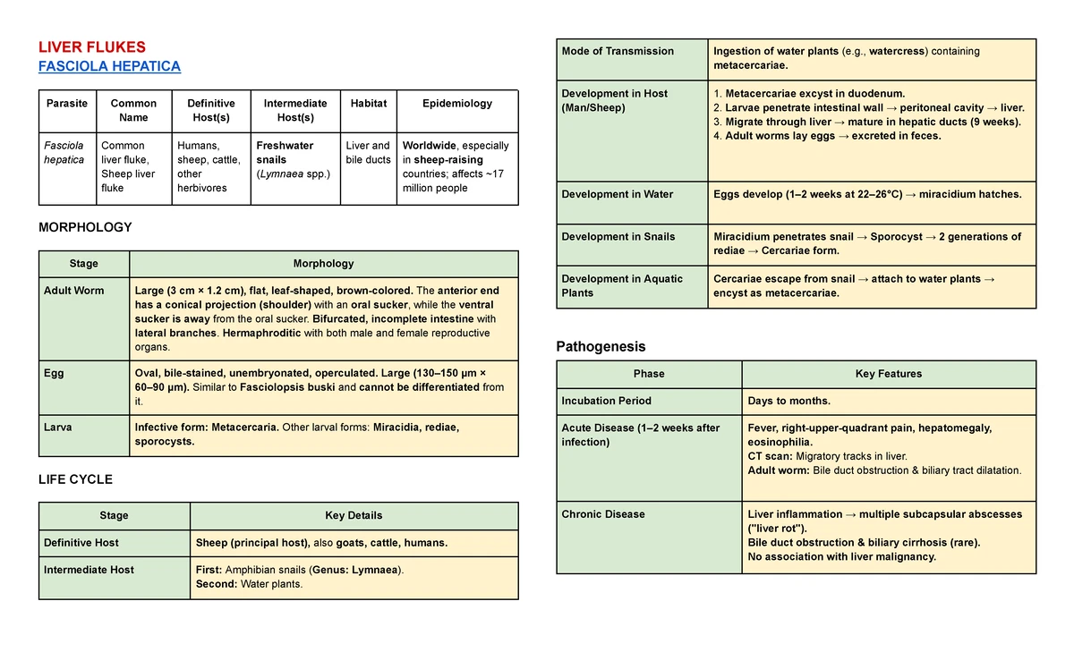 Cestode Characteristics and Features: A Study Guide (Bio 101) - Studocu