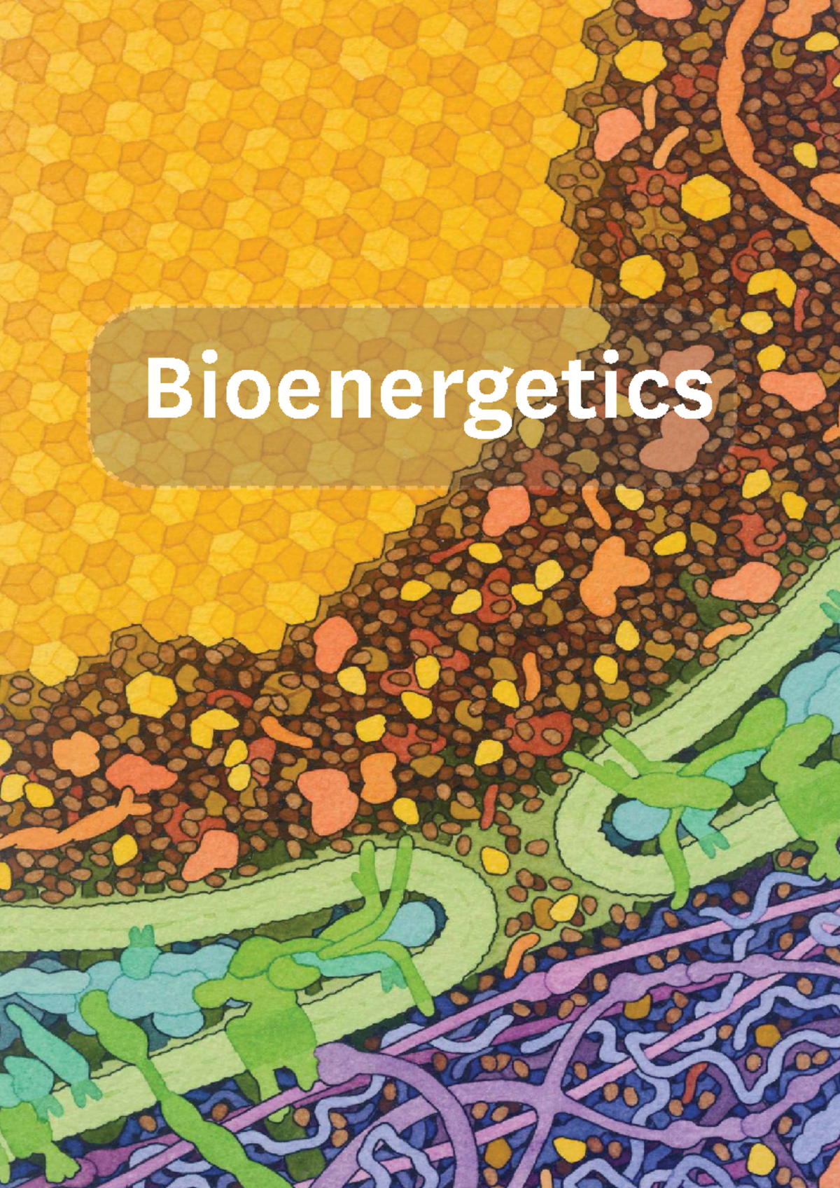 BIOSCI101 Bioenergetics Module Overview and Lecture Insights - Studocu