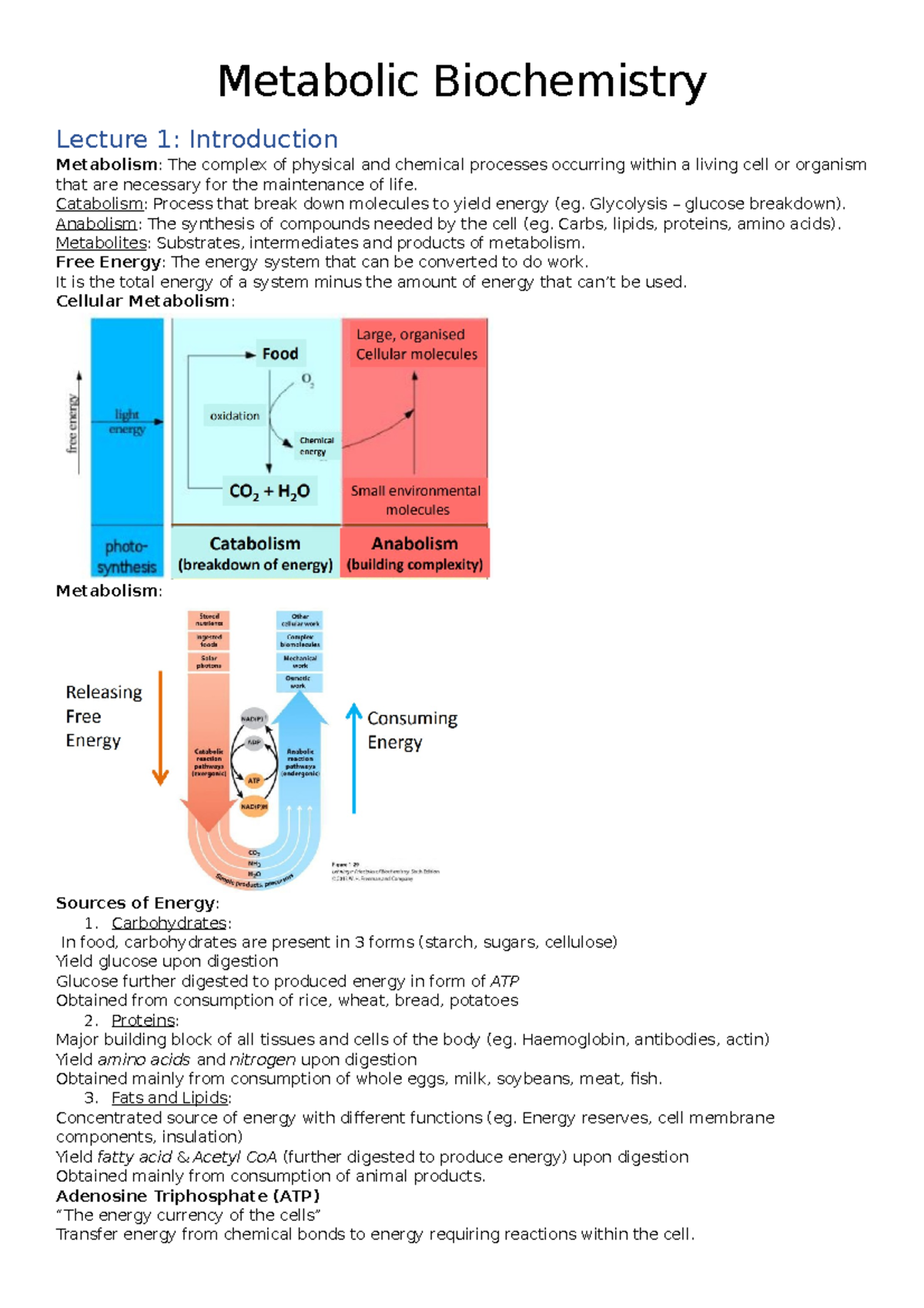 Metabolic Full notes - Complete summary - Metabolic Biochemistry ...