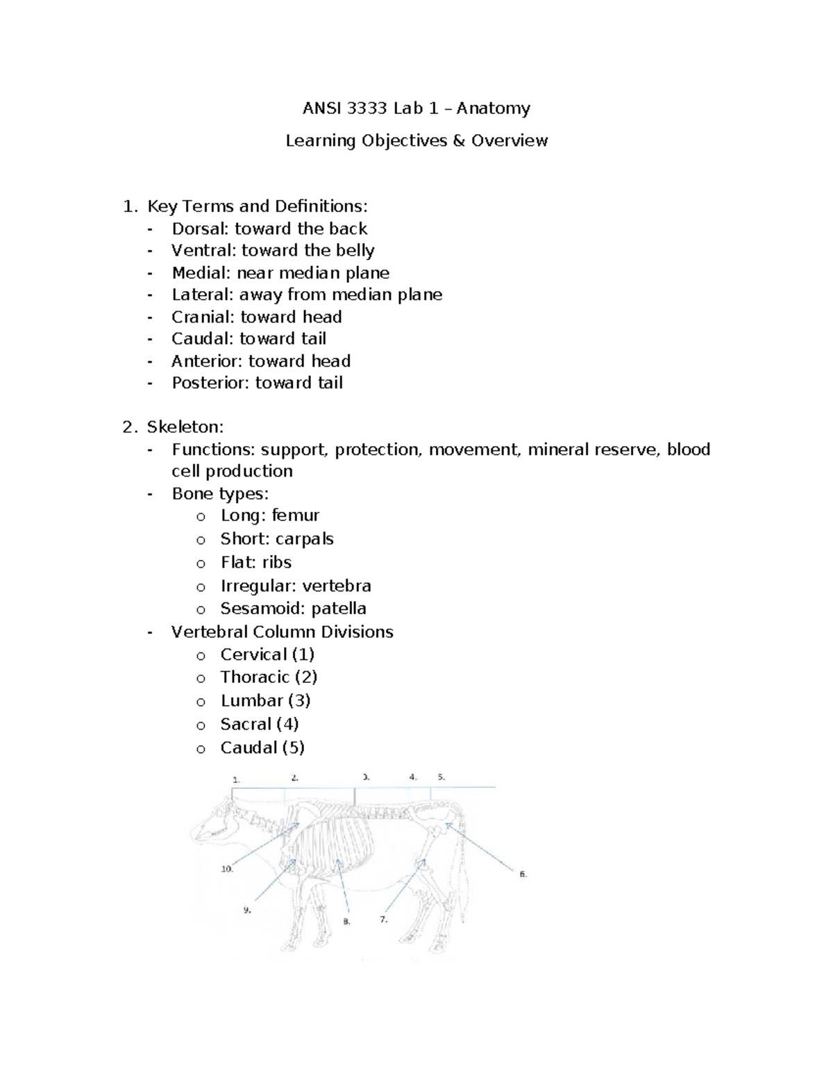 ANSI 3333 Lab 1 – Anatomy Learning Objectives and Key Terms - Studocu