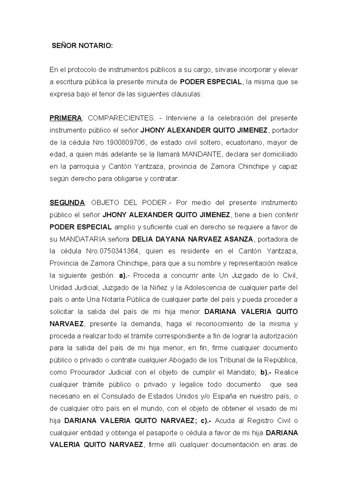 Poder Especial para Autorización de Salida del País de Menor - Document Preview