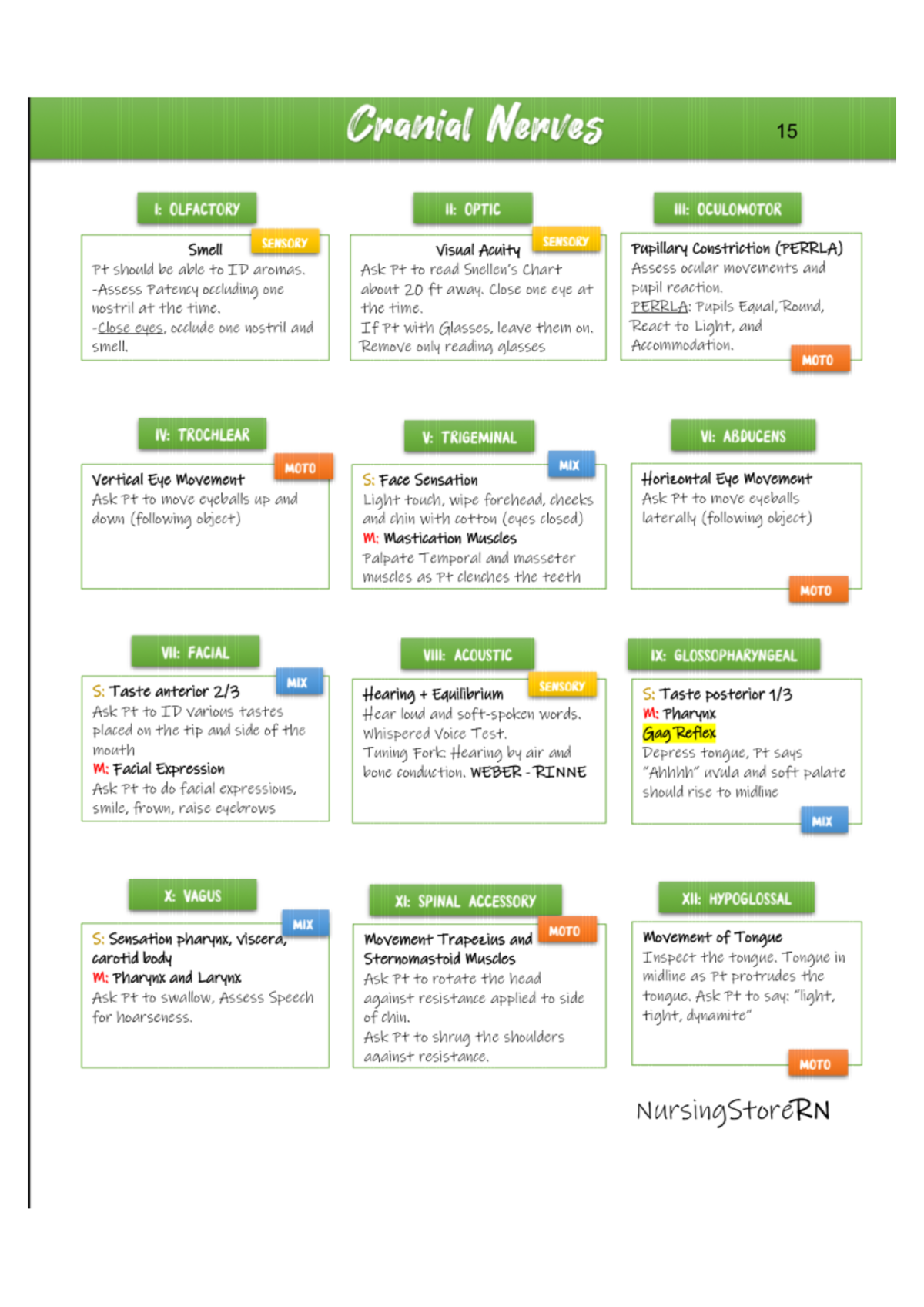 Cranial Nerves Assessment Notes for NursingStoreRN: Key Functions ...