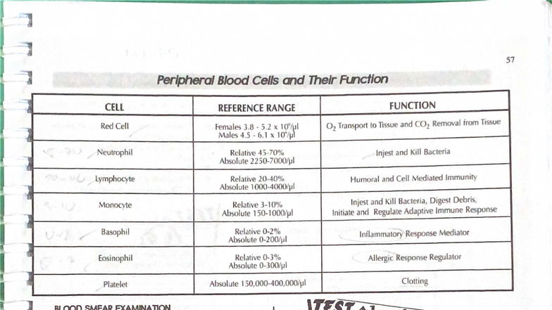 CELL 57: Peripheral Blood Cells Functions & Reference Ranges - Studocu