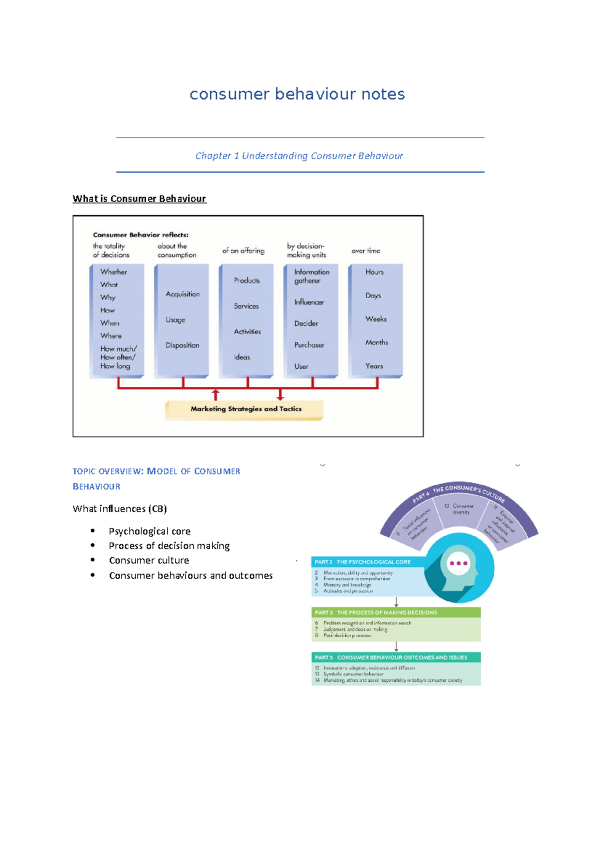 Consumer Behaviour Study Notes (CB101): Key Concepts and Insights - Studocu