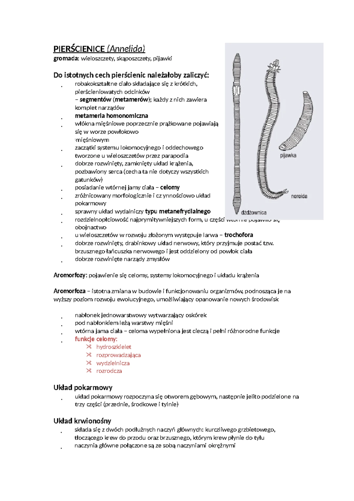 Sprawdzian biologia - spr - Wersja A Test podsumowujący rozdział II