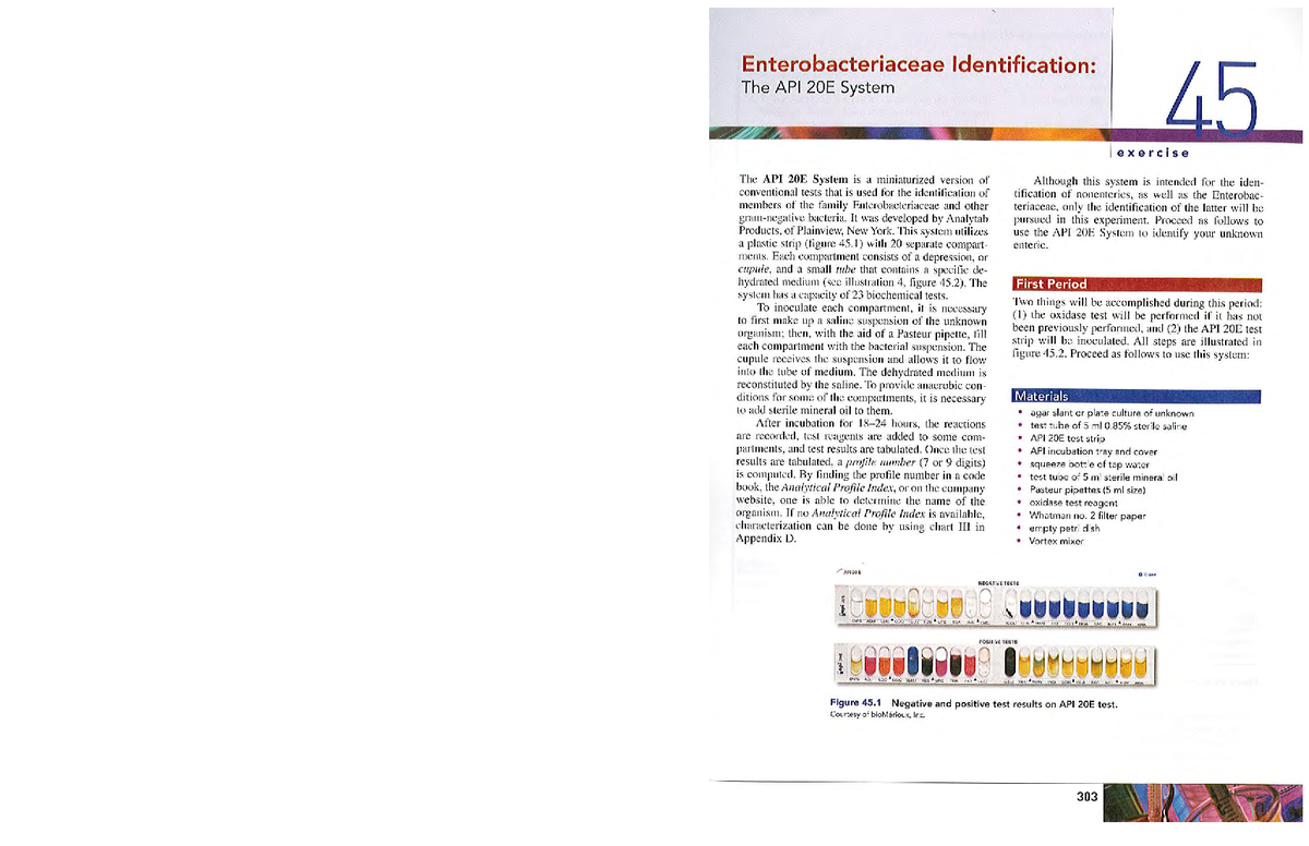 DOC112010 Final Exam Study Notes Summary - Enterobacteriaceae ...