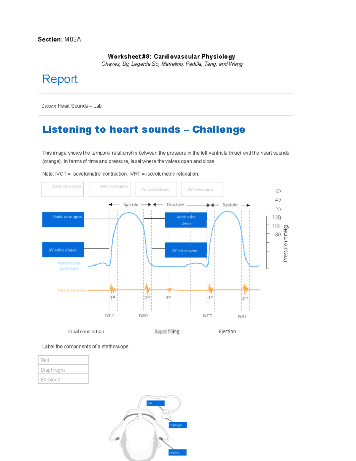 M03A Group 1 Cardiovascular Physiology Lab Report: Heart Sounds & ECG ...
