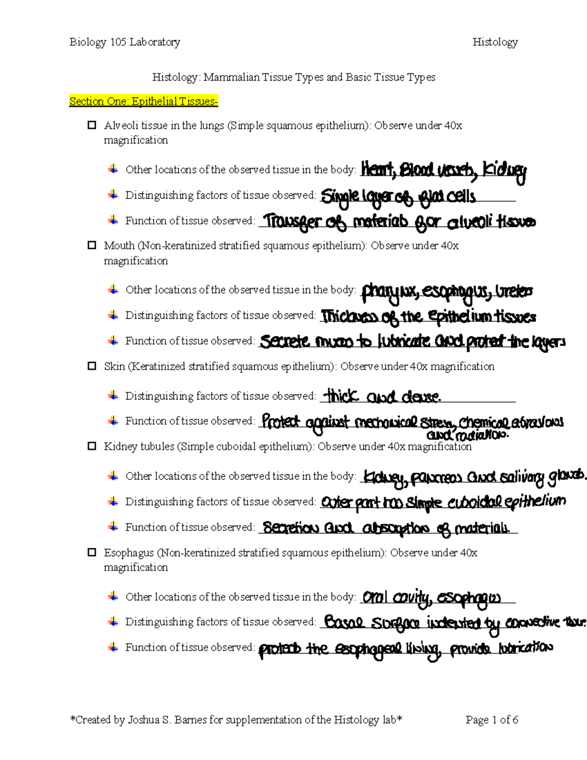 Lab 3: Histology Tissue Types Checklist for Mammalian Anatomy - Studocu