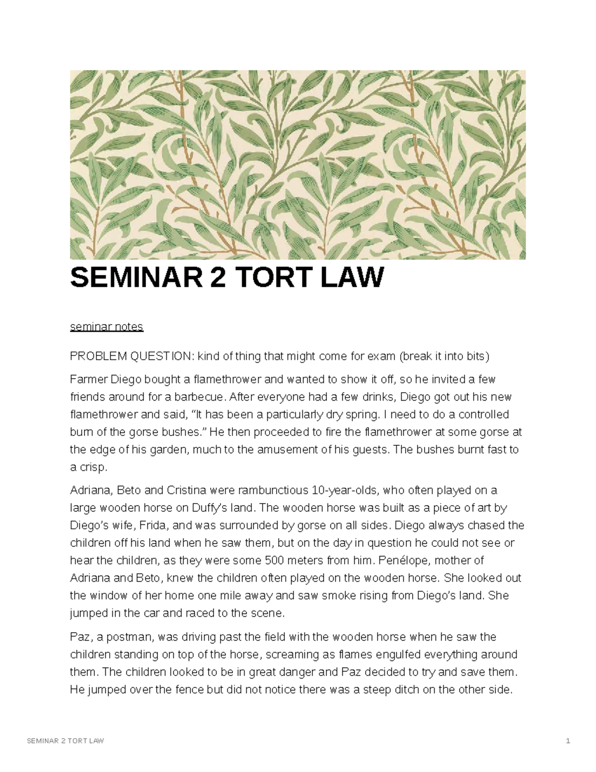 SEMINAR 2 TORT LAW Exam Notes: Problem Question Analysis and Claims ...