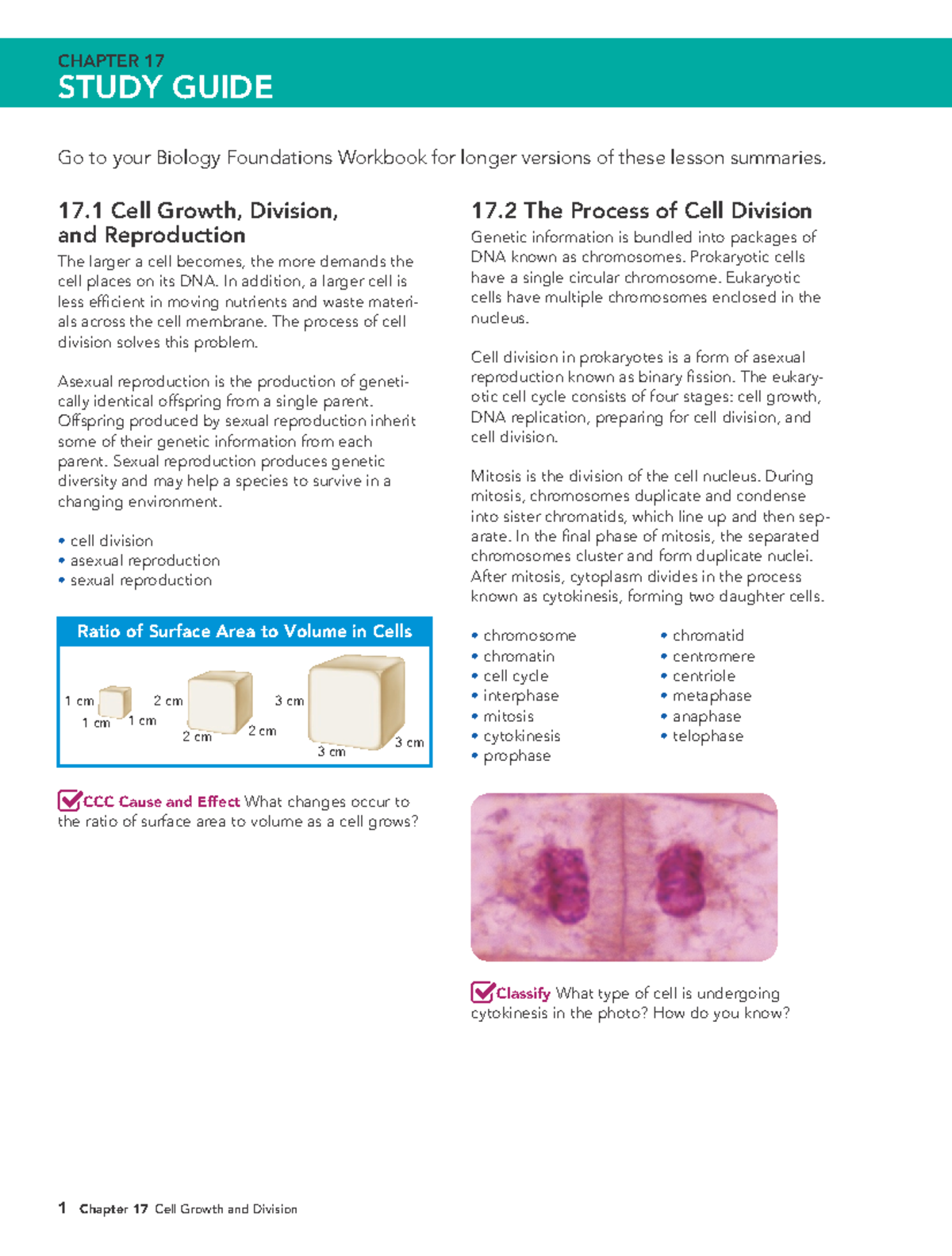 BIO 3CM CH17 Cell Growth and Division Study Guide - Studocu