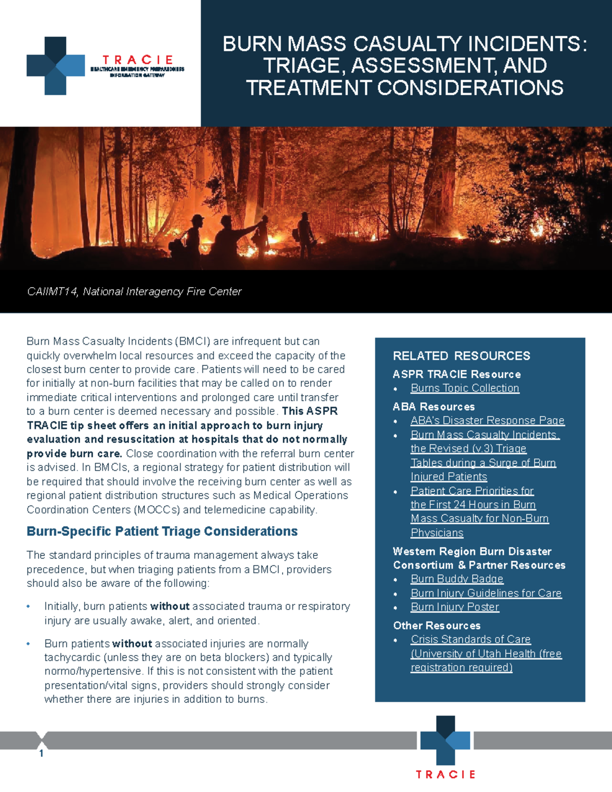 BMCI Triage, Assessment & Treatment Guidelines for Burn Injuries - Studocu