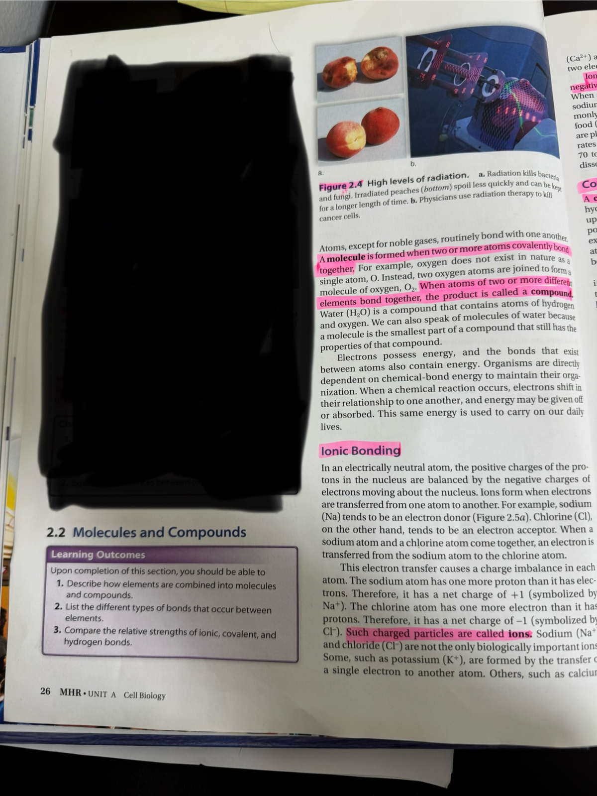 Final Exam Notes for Course ABC123: Key Concepts and Review - a Ion ...