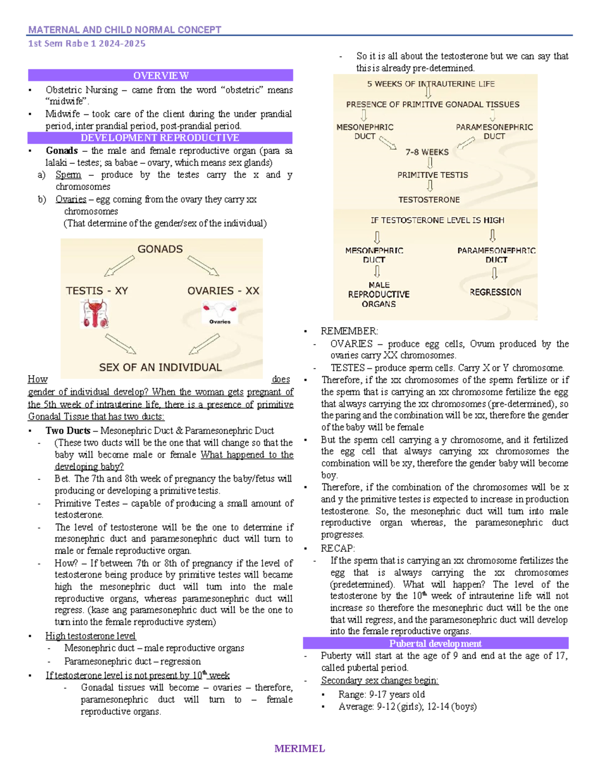 (1st sem) MCN LEC Prelim Exam Notes 2024 - Developmental Concepts - Studocu
