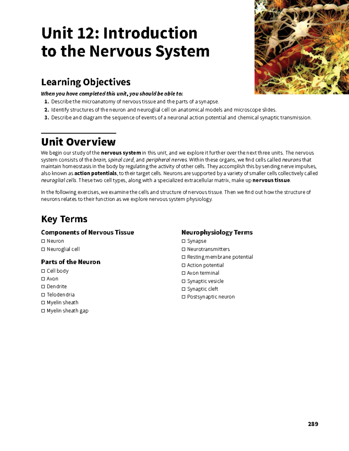 Unit 12: Intro to the Nervous System - Key Concepts & Learning ...
