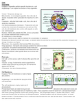 Class notes for Studying NCEA level 2 Biology in NCEA - 12 (NCEA 2 ...