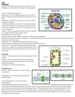 NCEA level - 12 (NCEA 2) - National Certificate of Educational ...