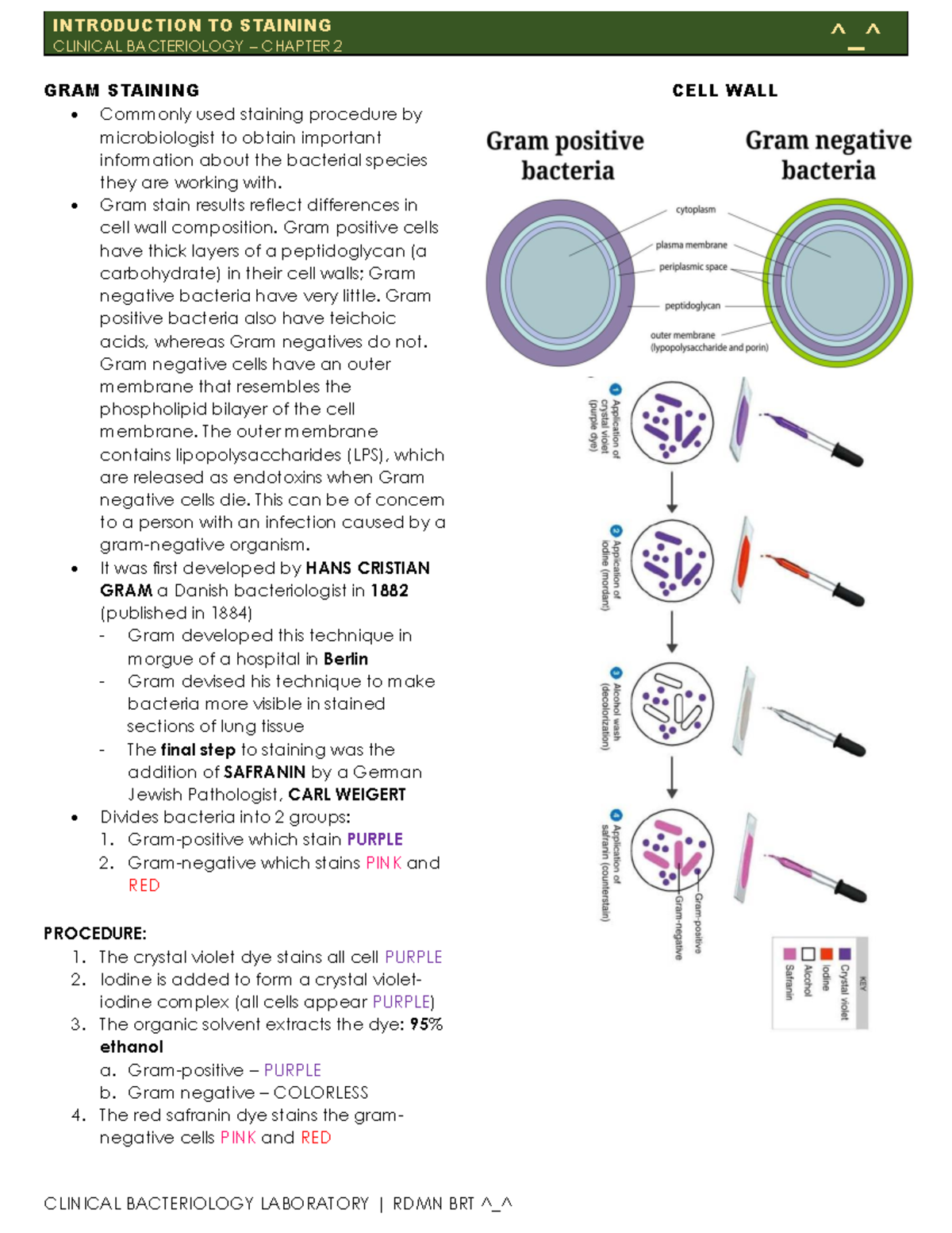 Introduction TO Staining - Microbiology - CLINICAL BACTERIOLOGY ...