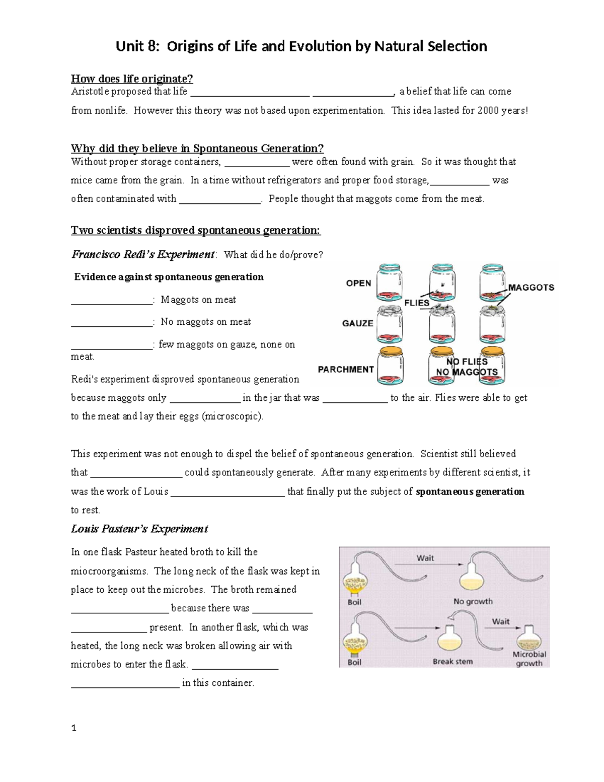Unit 8: Origins of Life and Evolution by Natural Selection Study Guide ...