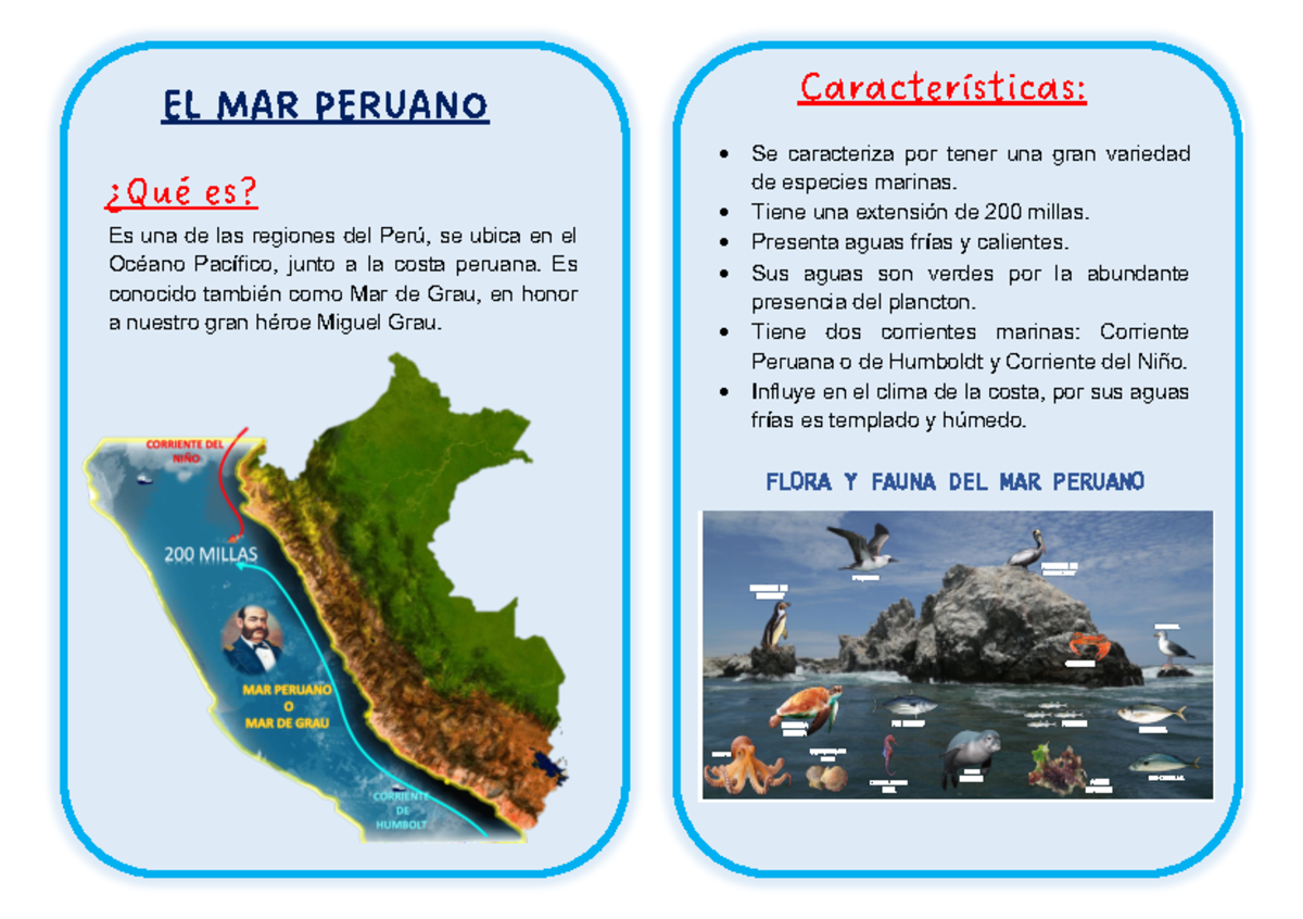 Características del Mar Peruano - Curso: Personal Social - Document Preview