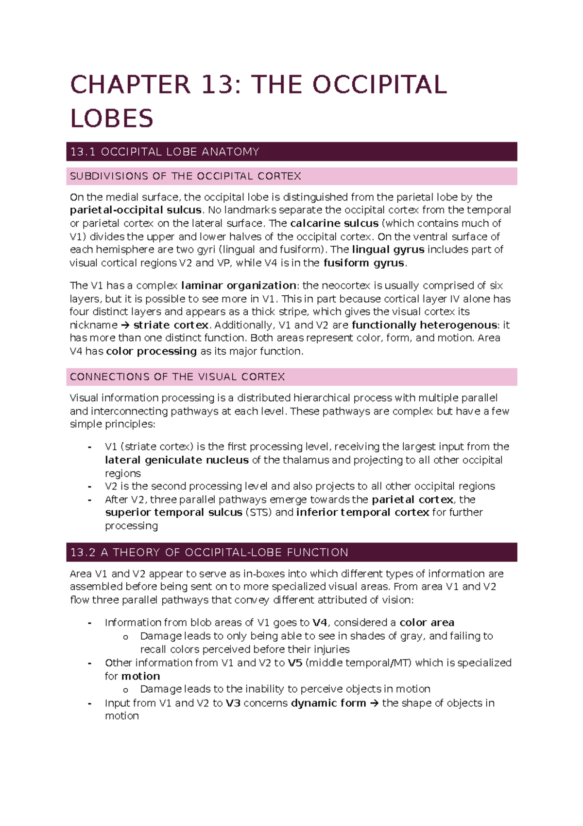 Midterm 2 - Textbook Summary Chapter 13 - CHAPTER 13: THE OCCIPITAL ...