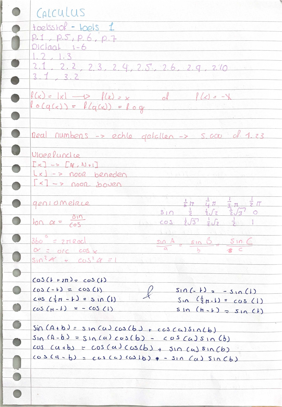 Calculus 1 Lecture Notes: Period 1 Year 1 - Studeersnel