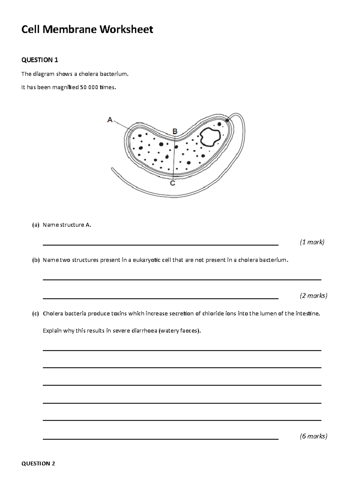 Assignment: Cell Membrane Concepts and Functions Analysis - Studocu