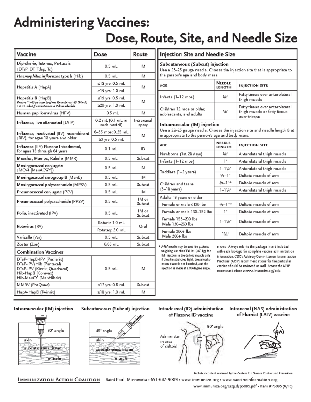 Final Exam Study Guide for CS101: Key Topics and Concepts - Injection ...