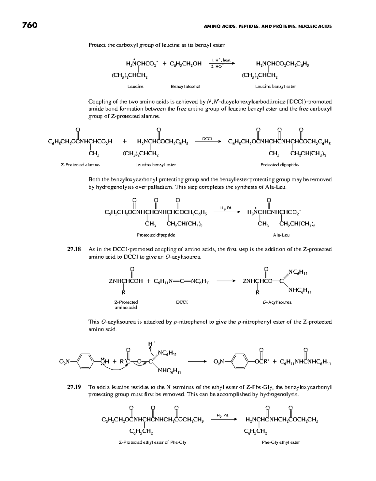 Organic Chemistry 4th Ed: Amino Acids, Peptides & Proteins (760) - Studocu